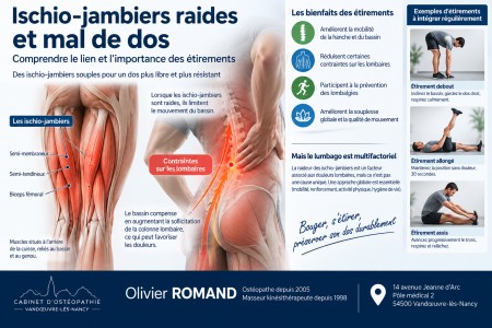 ischio-jambiers raides